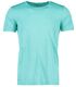 Mint Melange