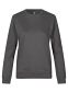 Pro Wear CARE sweatshirt, dame: Størrelse: 6XL, Farve: Silver grey