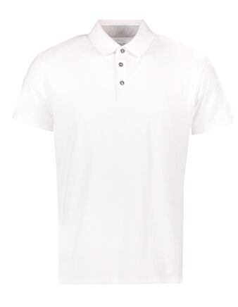The Polo, herre