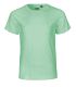 Dusty mint