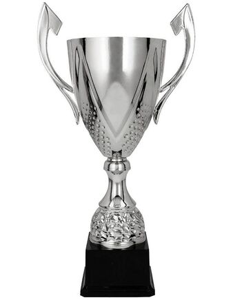 Pokal 3134