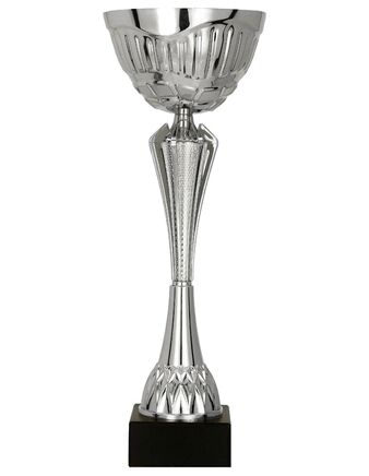 Pokal 8349