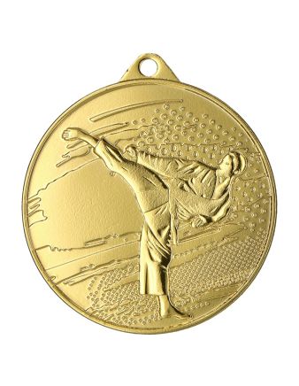 Kampsportsmedalje 4509