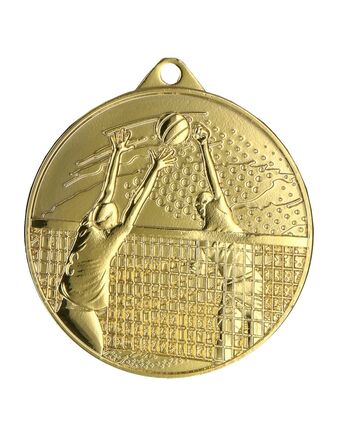 Volleyballmedalje 4510