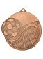 Fodboldmedalje 6065: Farve: Bronze