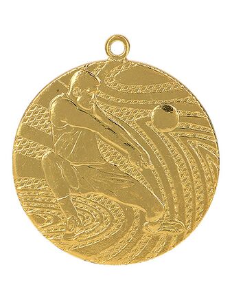 Volleyballmedalje 1540