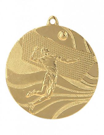 Volleyballmedalje 2250