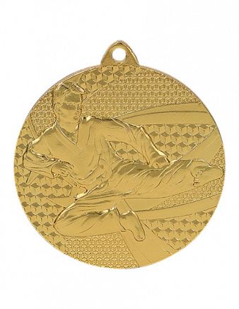 Kampsportsmedalje 6650