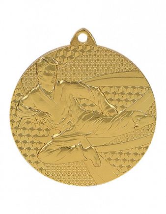 Kampsportsmedalje 6650