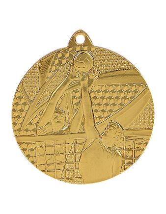 Volleyballmedalje 7650