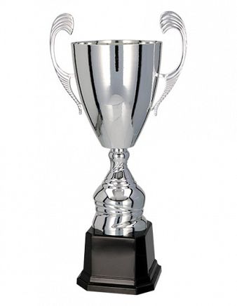 Pokal 4105