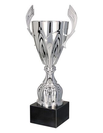 Pokal 4127