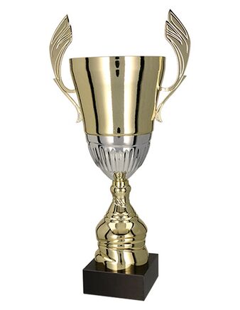 Pokal 4128